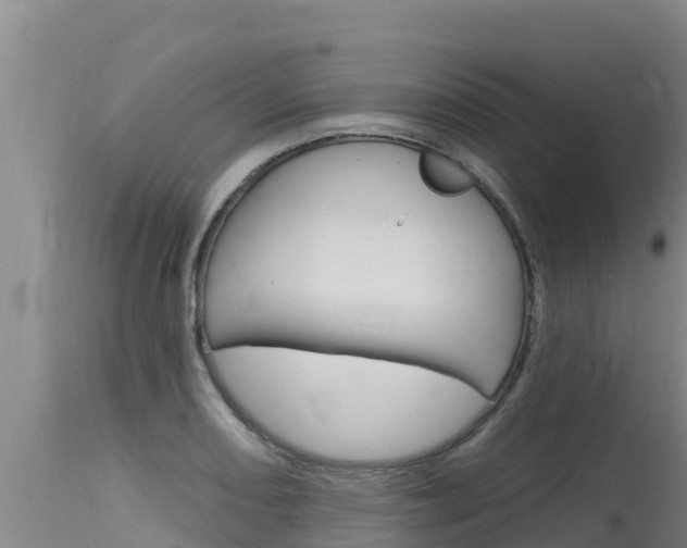 X0000115771082200911131016