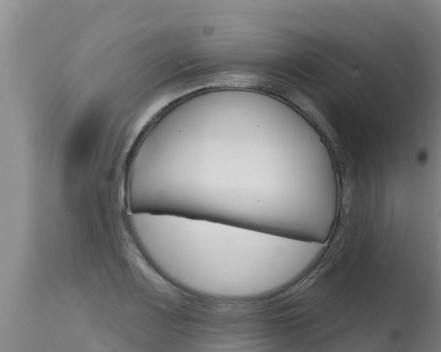 X0000115771083200911131016