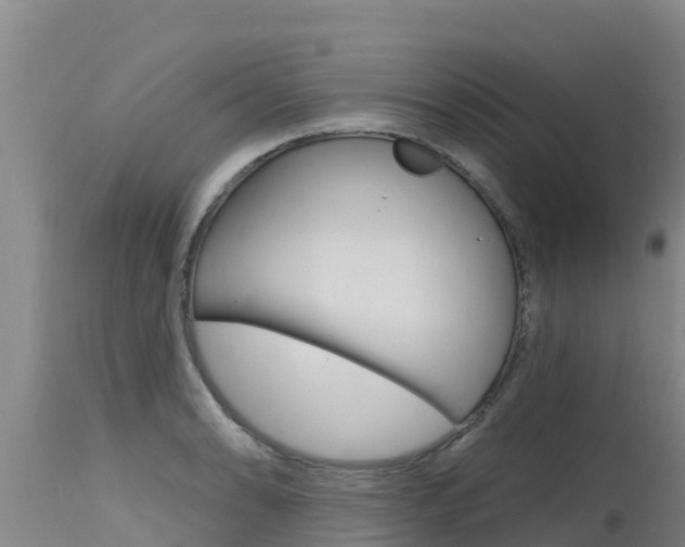 X0000115771086200911131016
