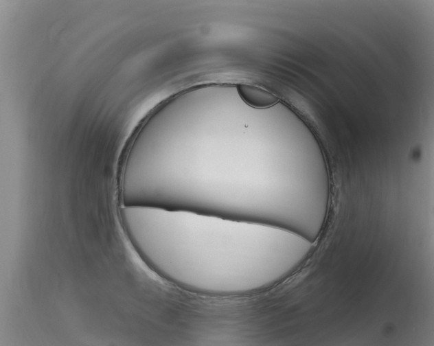 X0000115771087200911131016