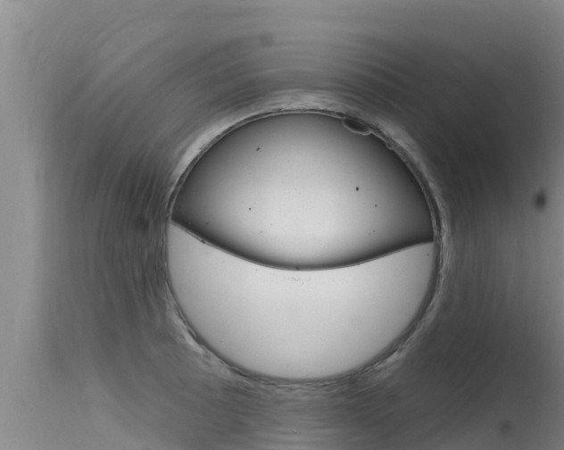 X0000115771089200911131016