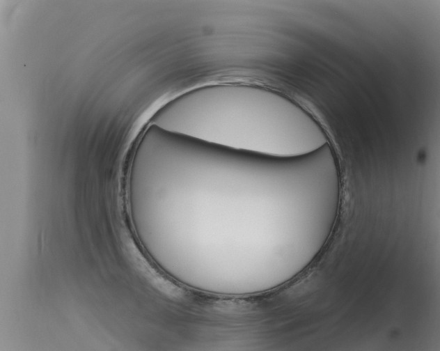 X0000115771091200911131016