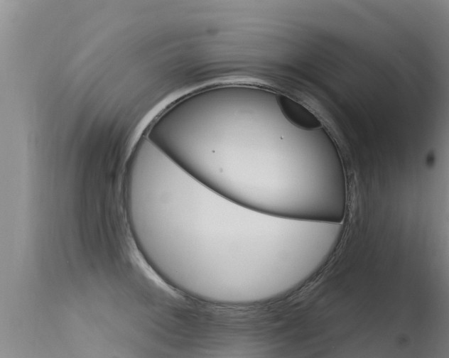 X0000115771092200911131016