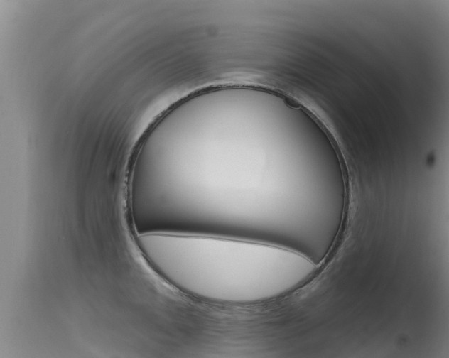 X0000115771093200911131016