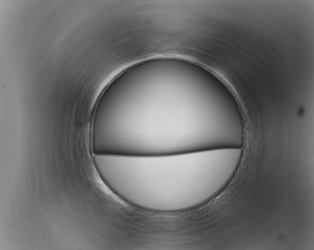 X0000115771100200911131016