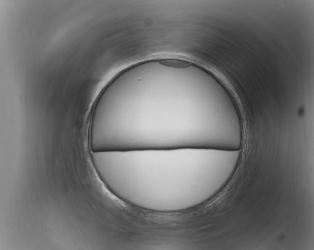 X0000115771102200911131016