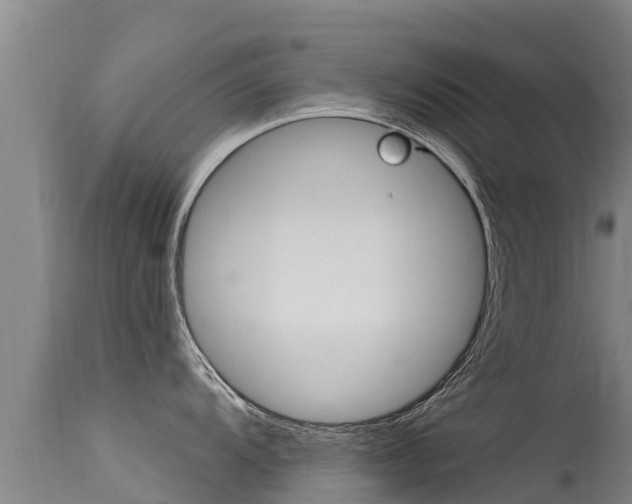 X0000115771104200911131016