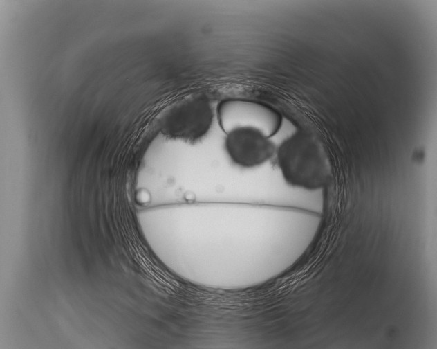 X0000115771106200911131015