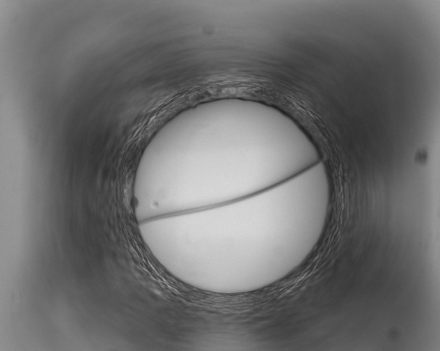 X0000115771109200911131015