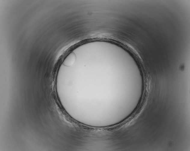 X0000115771117200911131015