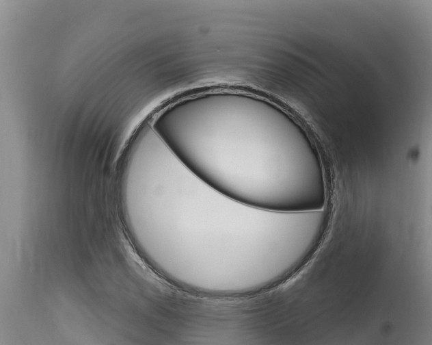 X0000115771118200911131015