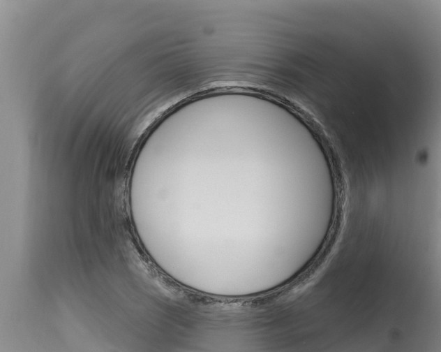 X0000115771121200911131015
