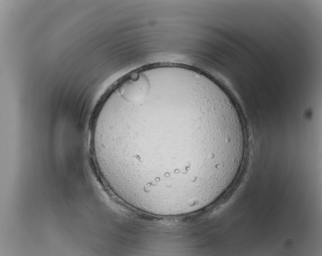 X0000115771125200911131015