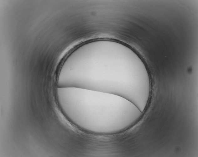 X0000115771126200911131016