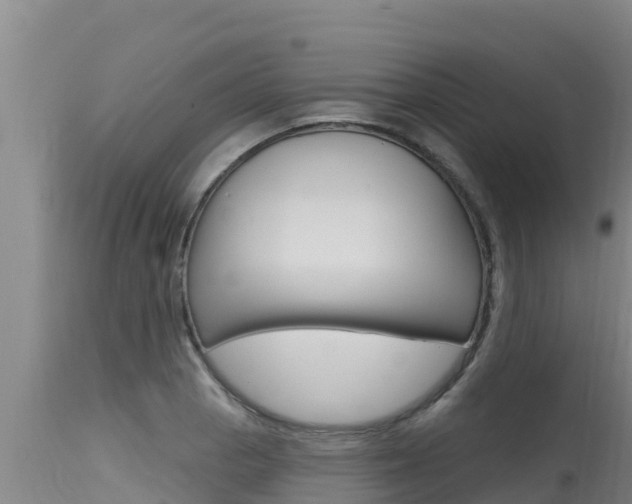 X0000115771129200911131016