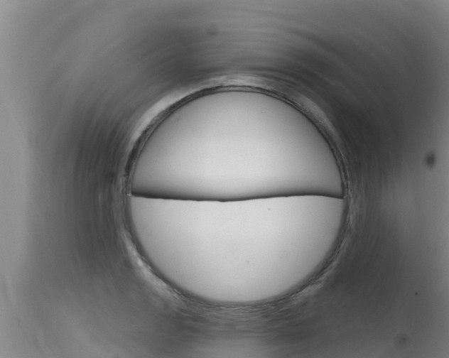 X0000115771133200911131016