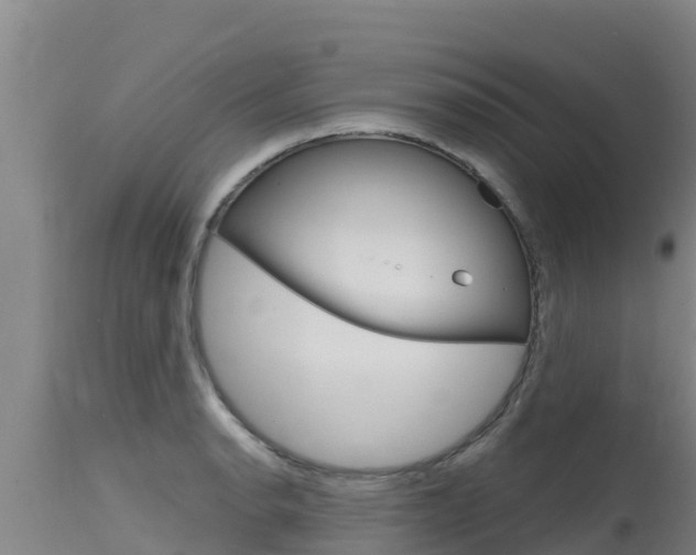 X0000115771134200911131016