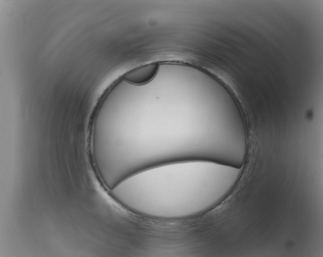 X0000115771135200911131016