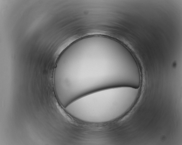 X0000115771137200911131016