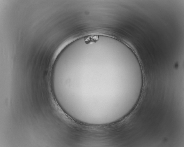 X0000115771138200911131016