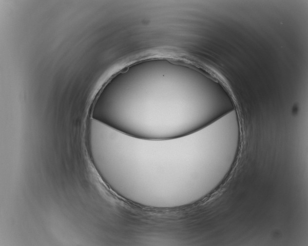 X0000115771146200911131016