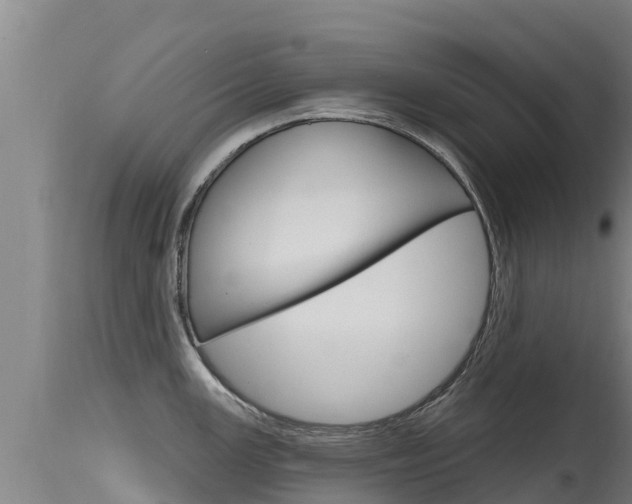 X0000115771147200911131016