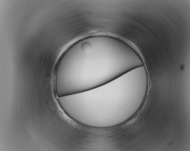 X0000115771149200911131016