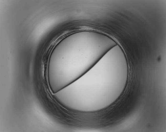 X0000115771151200911131016