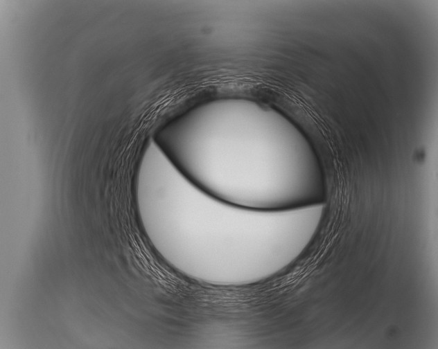 X0000115771153200911131015