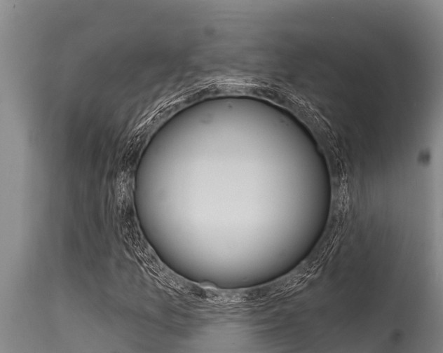 X0000115771157200911131015