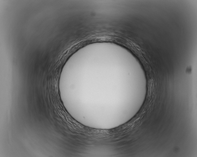 X0000115771158200911131015