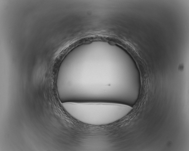 X0000115771159200911131015