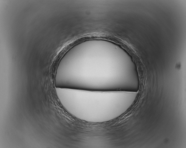 X0000115771160200911131015