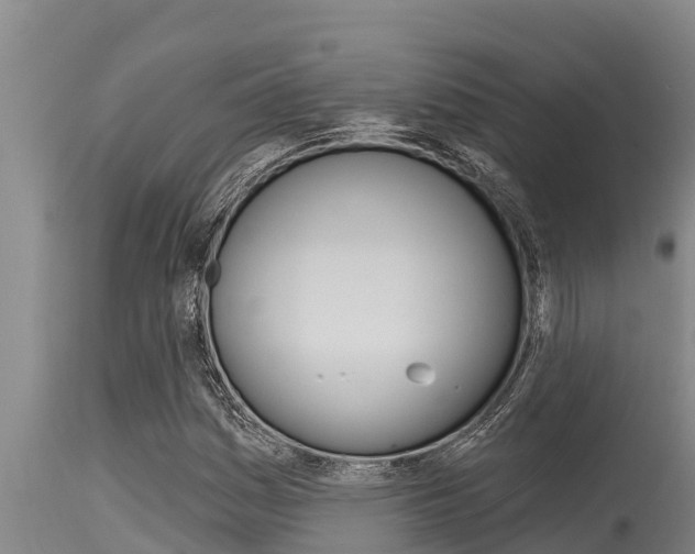 X0000115771161200911131015