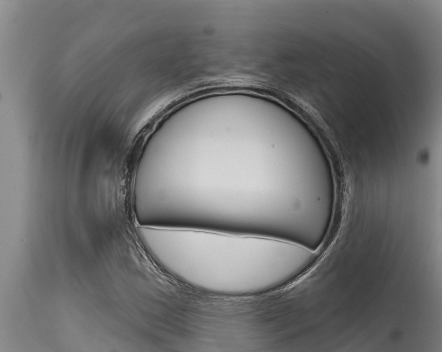 X0000115771163200911131015