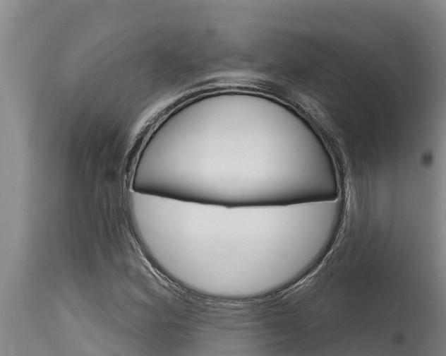 X0000115771164200911131015