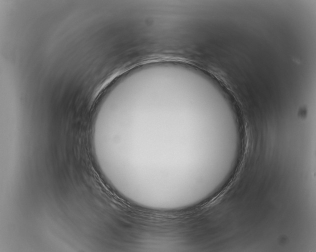 X0000115771165200911131015
