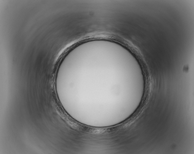 X0000115771166200911131015