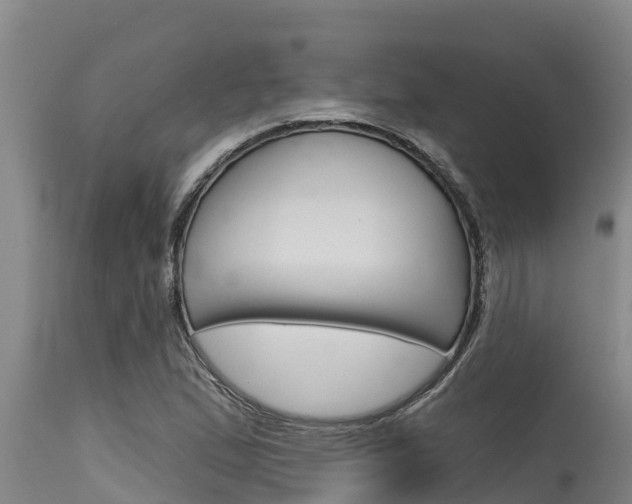 X0000115771167200911131015