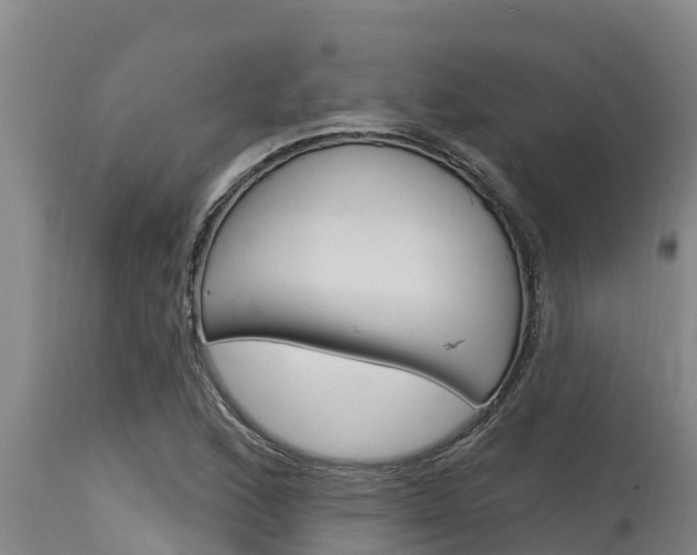 X0000115771168200911131015