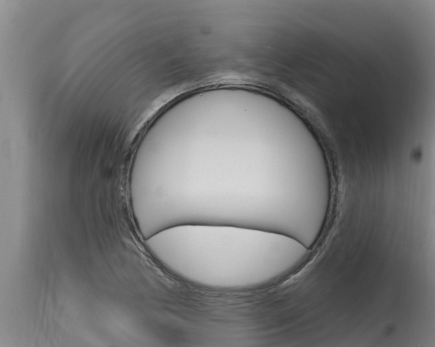 X0000115771170200911131015