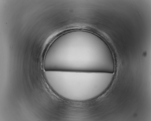 X0000115771172200911131015
