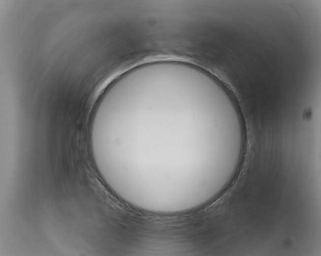 X0000115771173200911131015
