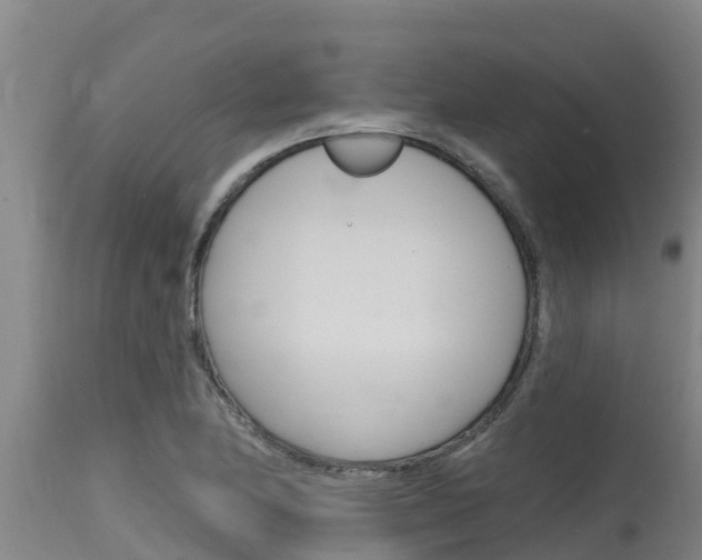 X0000115771174200911131015