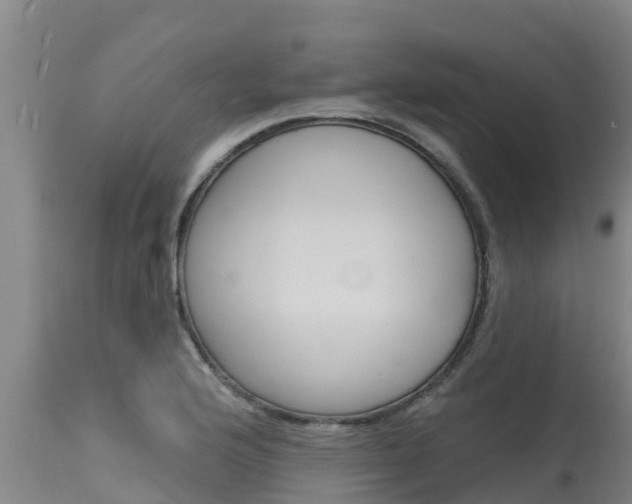 X0000115771176200911131015