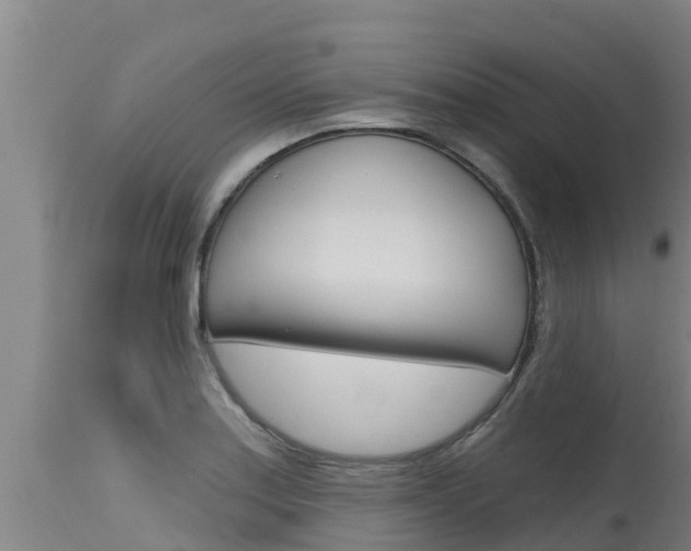 X0000115771179200911131015
