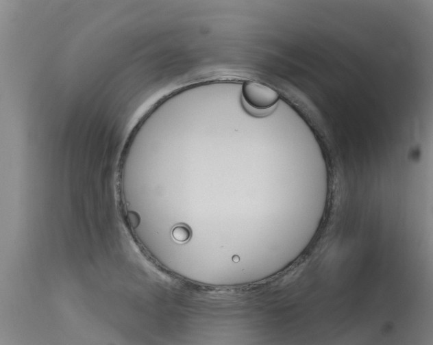 X0000115771182200911131015