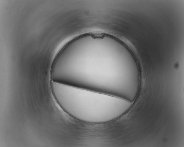 X0000115771183200911131015