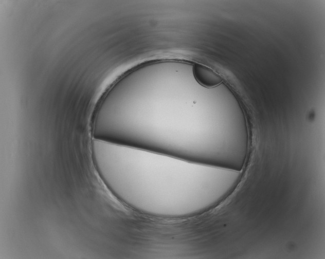 X0000115771184200911131015