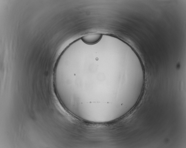 X0000115771187200911131015